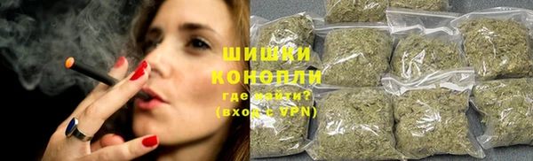 винт Новозыбков