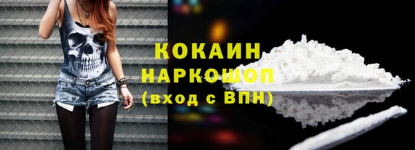 винт Новозыбков