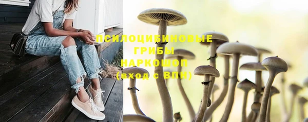 МДМА Новодвинск