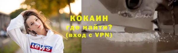 винт Новозыбков