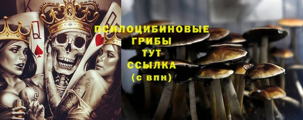 МДМА Новодвинск