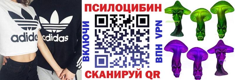 как найти наркотики  blacksprut как войти  Галлюциногенные грибы Psilocybe  Мостовской 